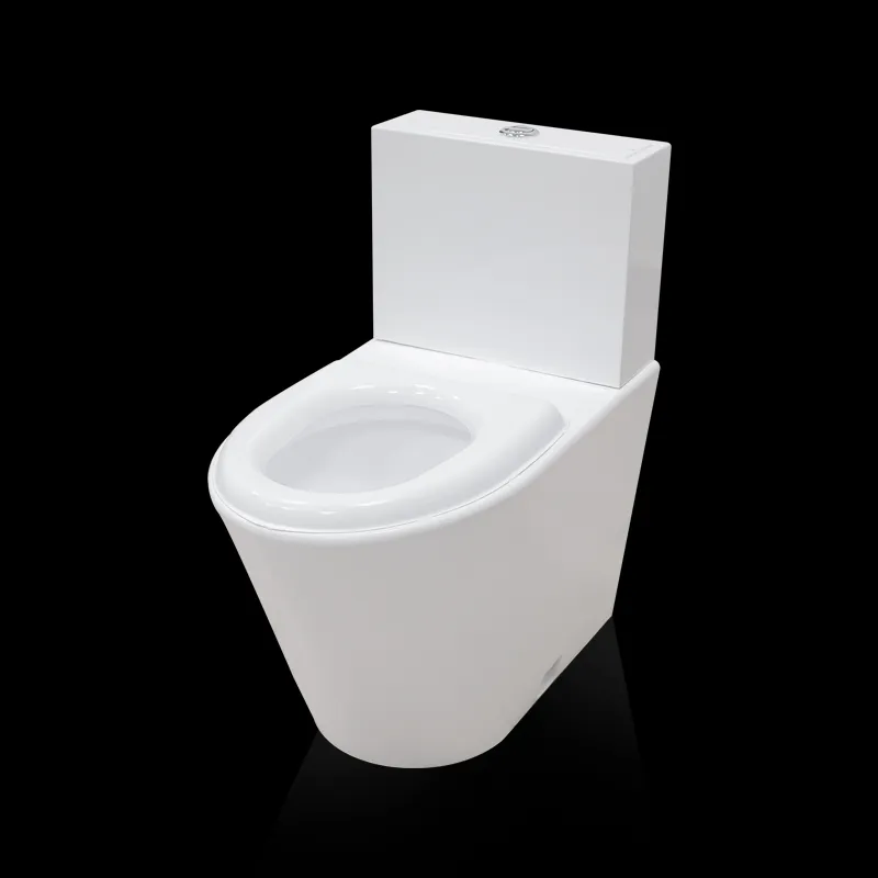 Vase WC din inox Toaletă din oțel inoxidabil 304 de culoare albă, destinată spitalelor